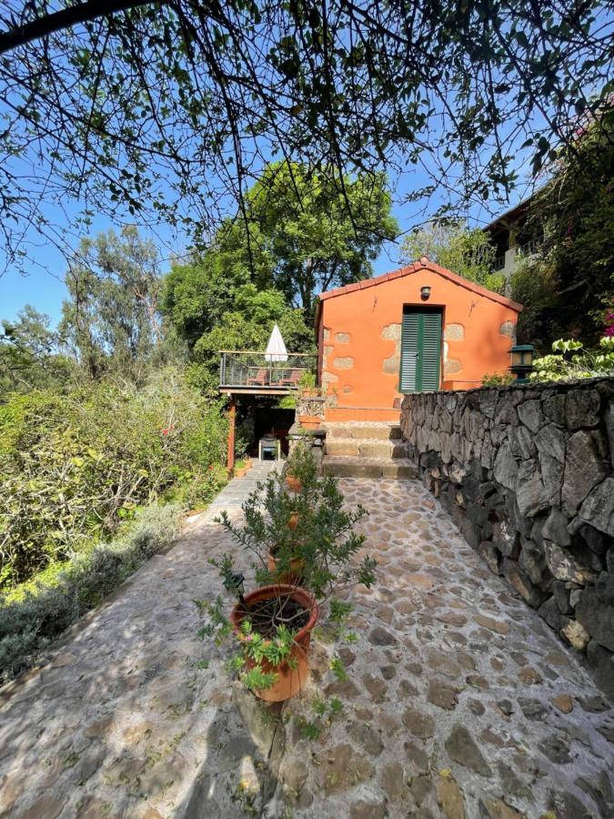 Duplex De Invitados En Medio Del Bosque Villa Firgas Dış mekan fotoğraf