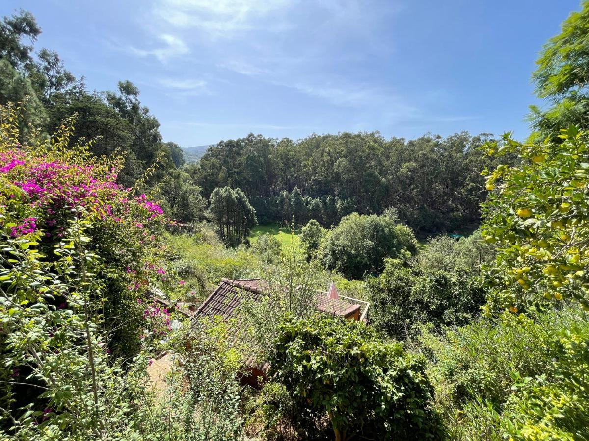 Duplex De Invitados En Medio Del Bosque Villa Firgas Dış mekan fotoğraf