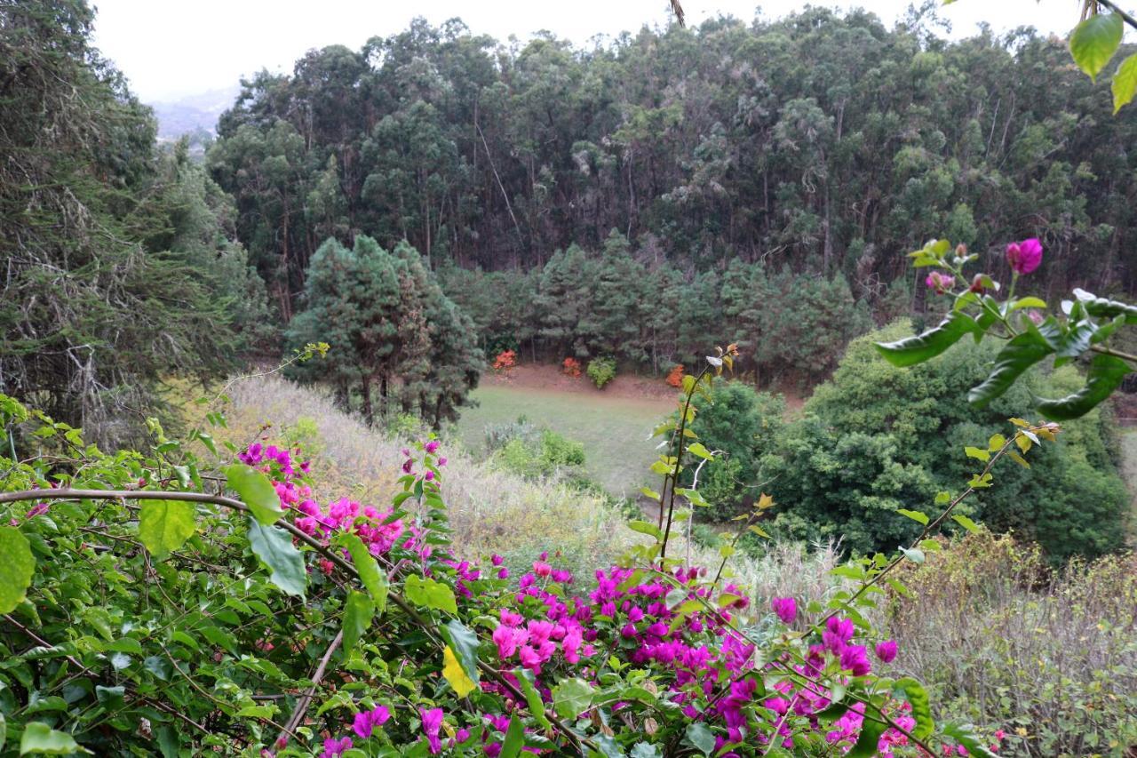 Duplex De Invitados En Medio Del Bosque Villa Firgas Dış mekan fotoğraf