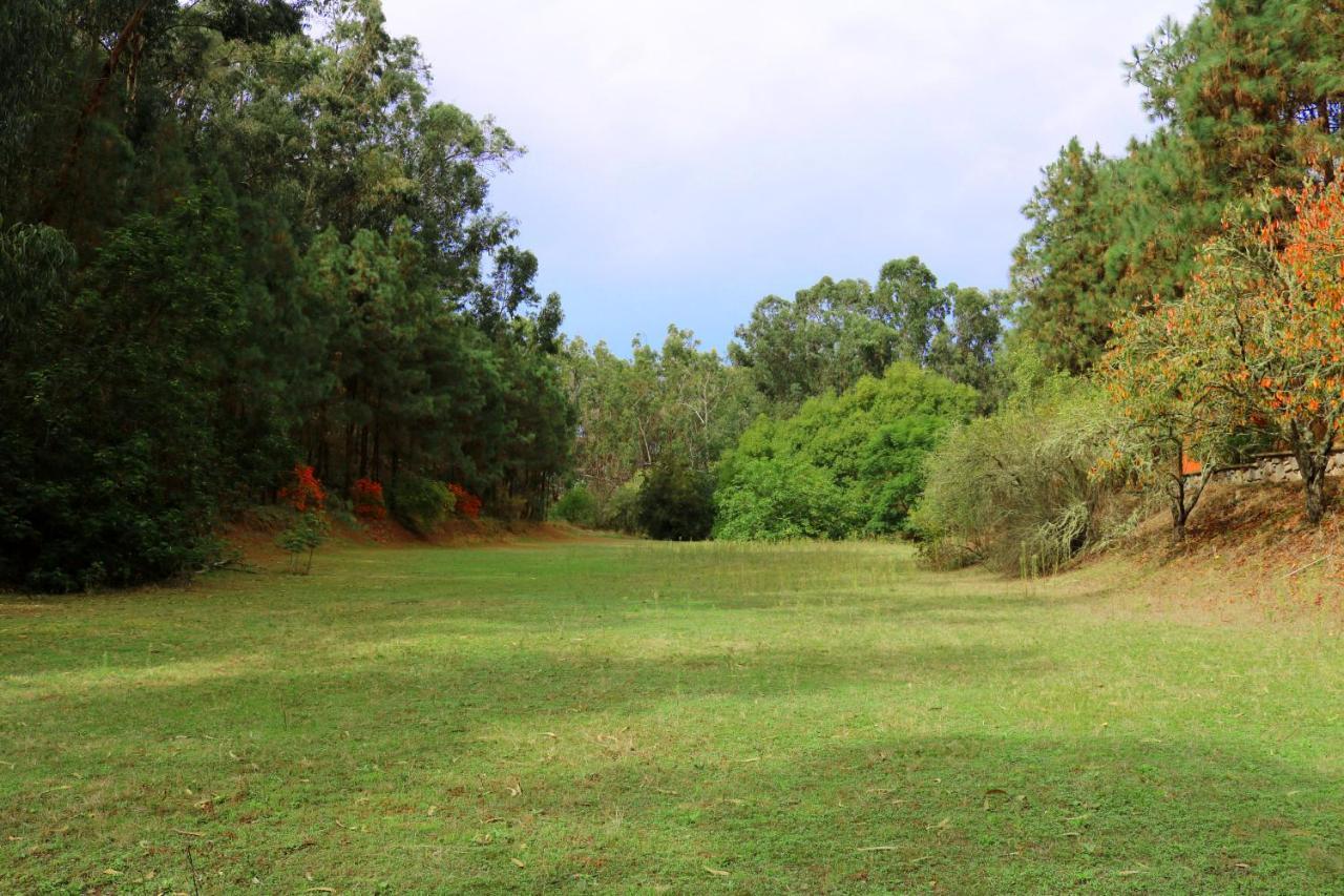 Duplex De Invitados En Medio Del Bosque Villa Firgas Dış mekan fotoğraf